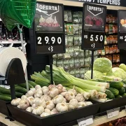 Imagem em PP 0,4mm IP – 21x15cm p/ Precificador E3 e E2 24,5x33cm